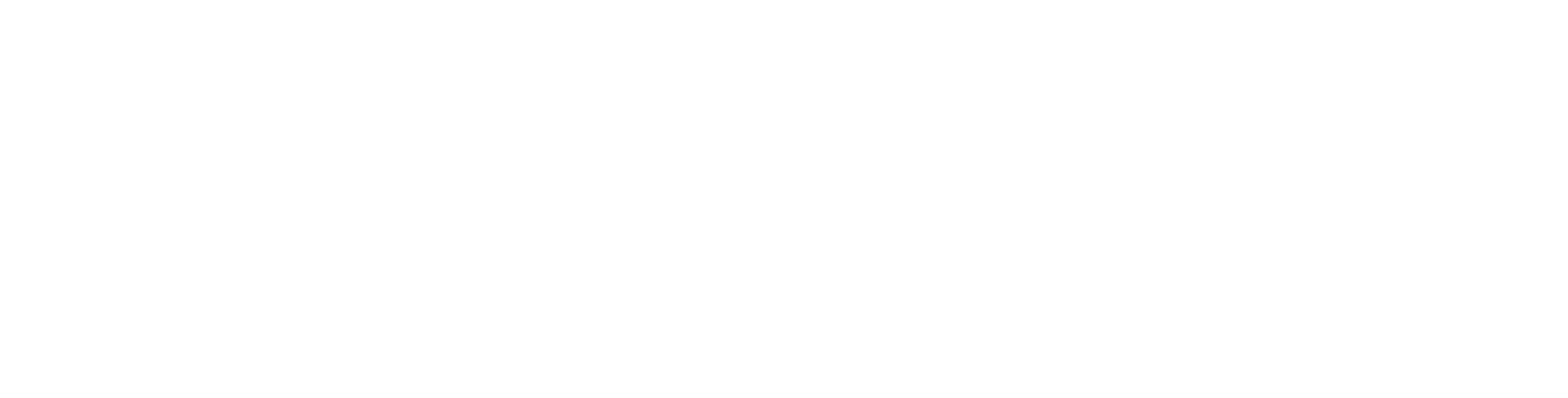 ZamurAI